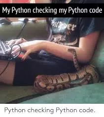 Python meme