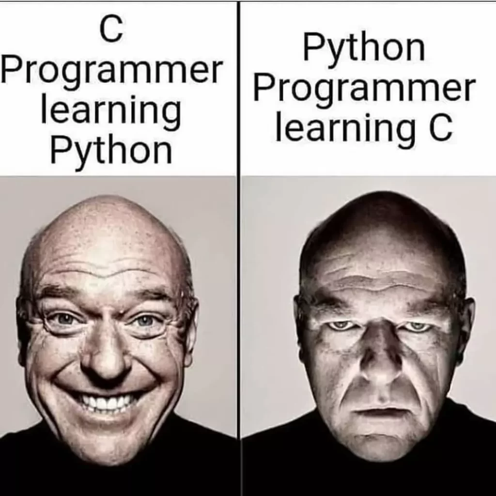 Python meme