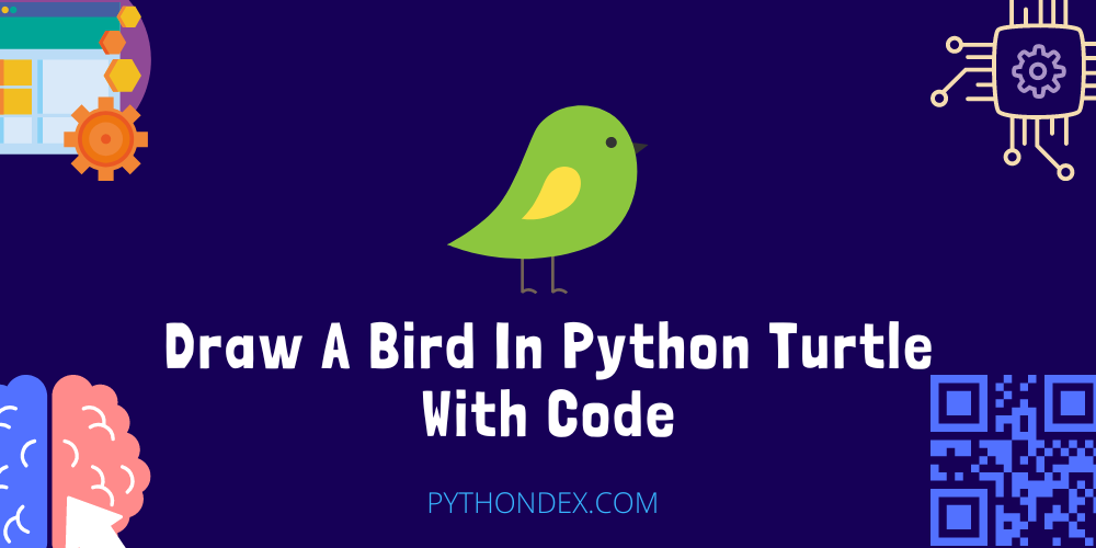 Draw A Bird In Python Turtle With Code - Pythondex